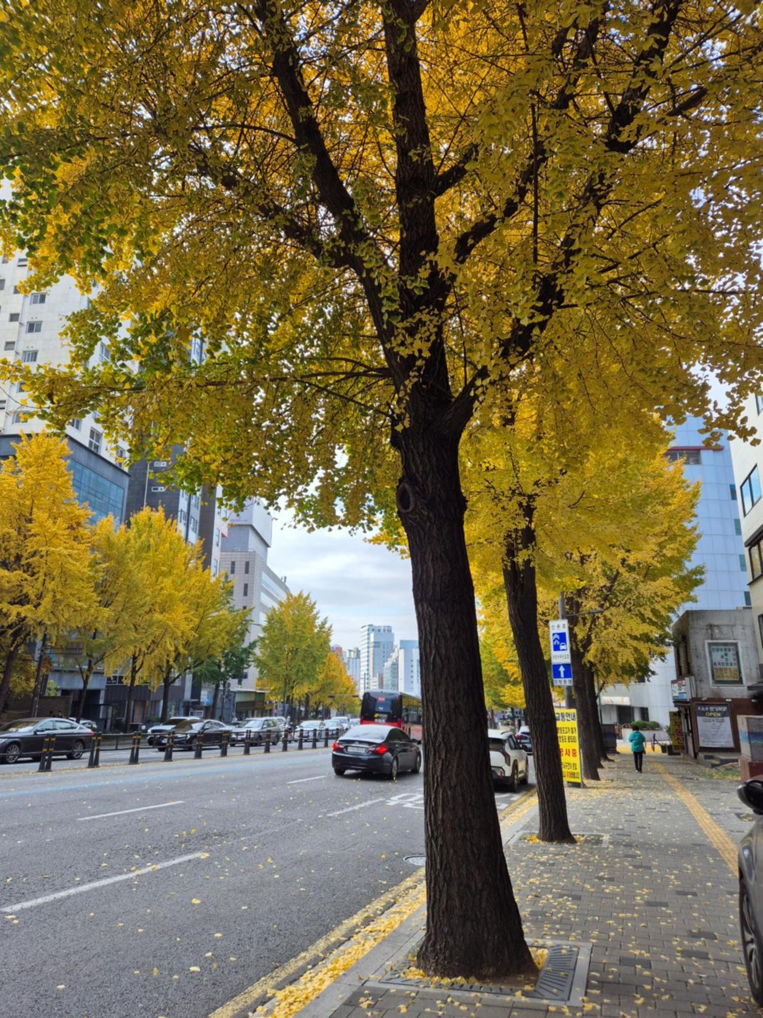 Let'S Stay Seoul Ngoại thất bức ảnh
