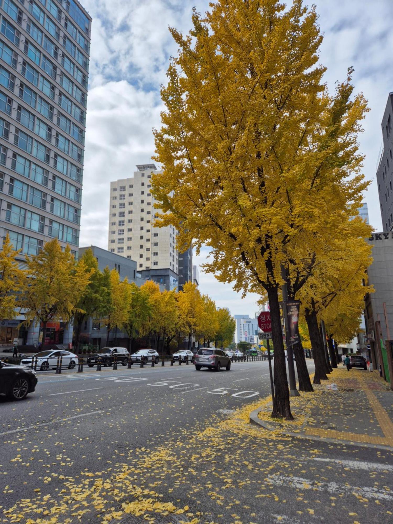 Let'S Stay Seoul Ngoại thất bức ảnh